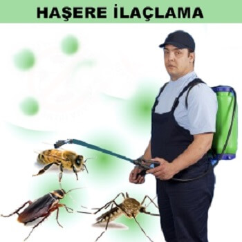 Çat Böcek İlaçlama